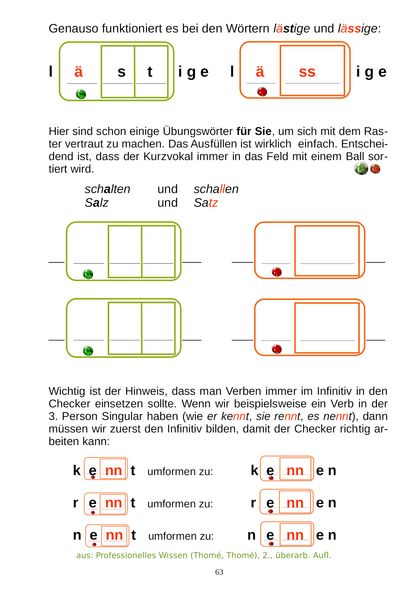 Produktbild: Professionelles Wissen &uuml;ber Rechtschreibung f&uuml;r Schule und F&ouml;rderung