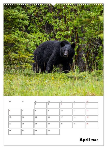Produktbild: Mein Sch&ouml;nes Kanada (hochwertiger Premium Wandkalender 2026 DIN A2 hoch), Kunstdruck in Hochglanz
