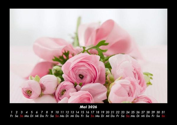 Produktbild: Rosen-Kalender 2026 Fotokalender DIN A3