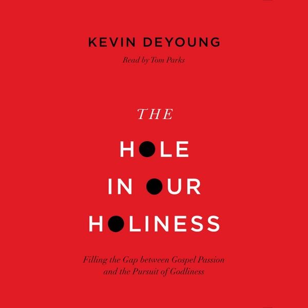 Produktbild: The Hole in Our Holiness