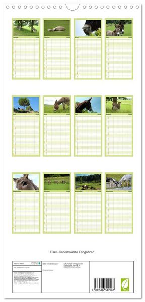 Produktbild: Familienplaner 2026 - Esel - liebenswerte Langohren mit 5 Spalten (Wandkalender, 21 x 45 cm) CALVENDO