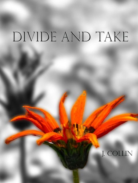 Produktbild: Divide and Take