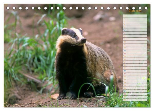 Produktbild: Tiere des Waldes (Tischkalender 2026 DIN A5 quer), CALVENDO Monatskalender