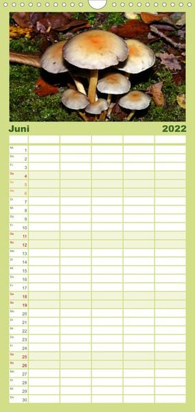 Produktbild: Familienplaner Pilze, Pilze (Wandkalender 2022 , 21 cm x 45 cm, hoch)
