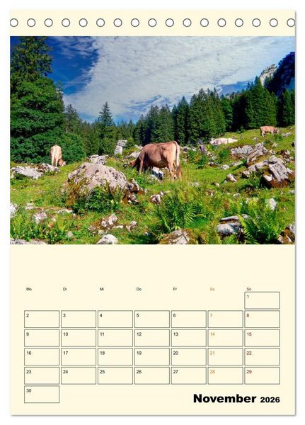 Produktbild: Gl&uuml;ckliche Bergk&uuml;he (Tischkalender 2026 DIN A5 hoch), CALVENDO Monatskalender
