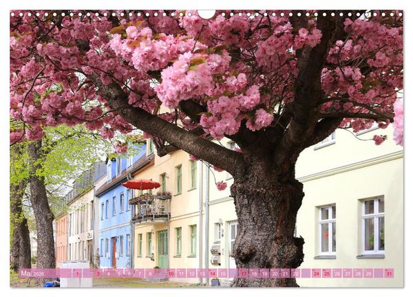Produktbild: Werder (Havel) - Die Altstadtinsel (Wandkalender 2026 DIN A3 quer), CALVENDO Monatskalender