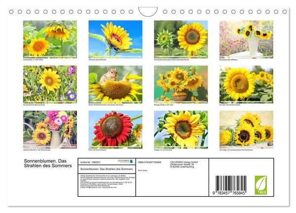Produktbild: Sonnenblumen. Das Strahlen des Sommers (Wandkalender 2026 DIN A4 quer), CALVENDO Monatskalender
