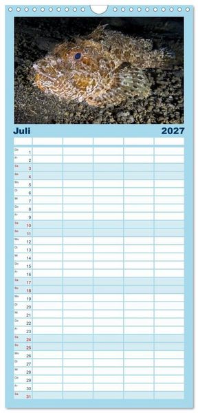 Produktbild: Familienplaner 2027 - Faszination blaue Unterwasserwelt mit 5 Spalten (Wandkalender, 21 x 45 cm) CALVENDO