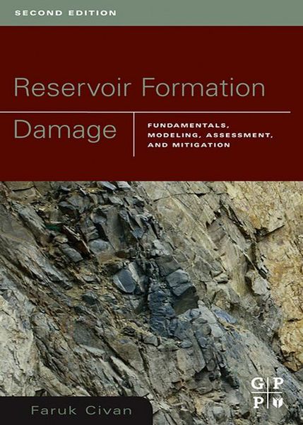 Produktbild: Reservoir Formation Damage