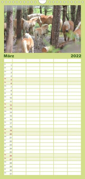 Produktbild: Familienplaner Alpenpferde (Wandkalender 2022 , 21 cm x 45 cm, hoch)