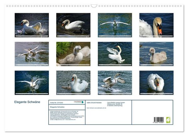 Produktbild: Elegante Schw&auml;ne (Wandkalender 2026 DIN A2 quer), CALVENDO Monatskalender