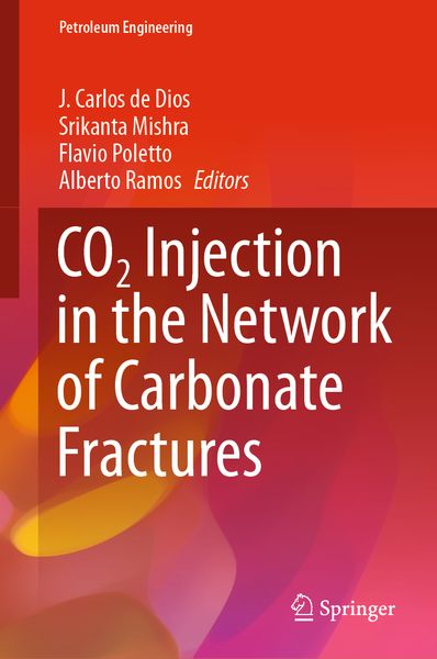 Produktbild: CO2 Injection in the Network of Carbonate Fractures