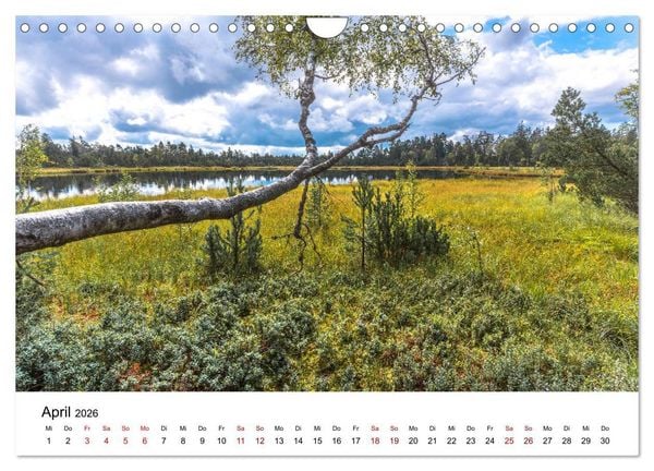 Produktbild: Schwarzwald, Seen und Hochmoore (Wandkalender 2026 DIN A4 quer), CALVENDO Monatskalender