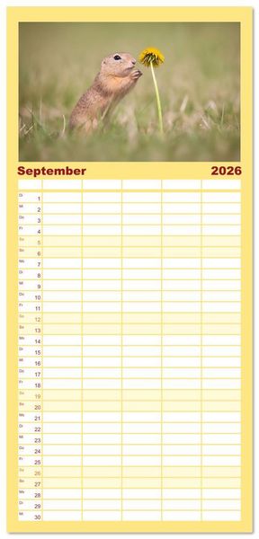 Produktbild: Familienplaner 2026 - Zauberhafte Ziesel mit 5 Spalten (Wandkalender, 21 x 45 cm) CALVENDO