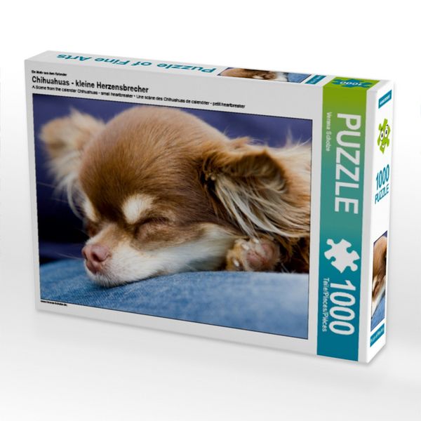 CALVENDO Puzzle Ein Motiv aus dem Kalender Chihuahuas - kleine Herzensbrecher | 1000 Teile Lege-Größe 64x48cm Foto-Puzzle für glückliche Stunden