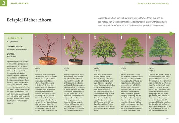 Produktbild: Bonsai ziehen, gestalten und pflegen