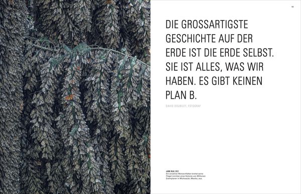 Produktbild: Ikonen der Fotografie