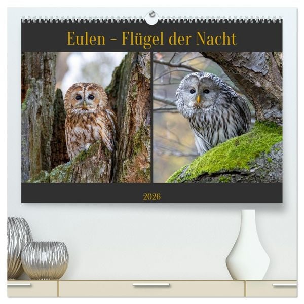 Produktbild: Eulen - Fl&uuml;gel der Nacht (hochwertiger Premium Wandkalender 2026 DIN A2 quer), Kunstdruck in Hochglanz