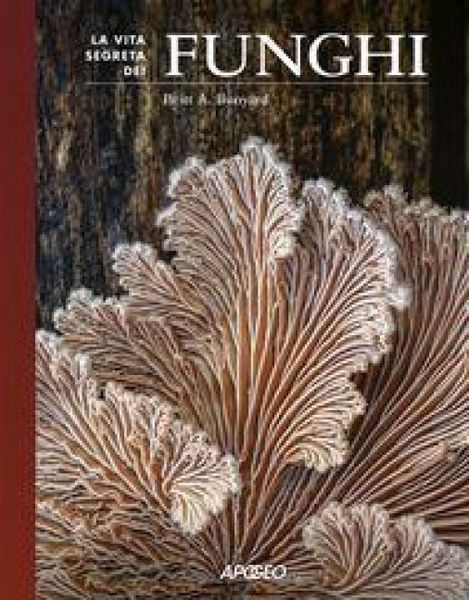 Produktbild: La vita segreta dei funghi