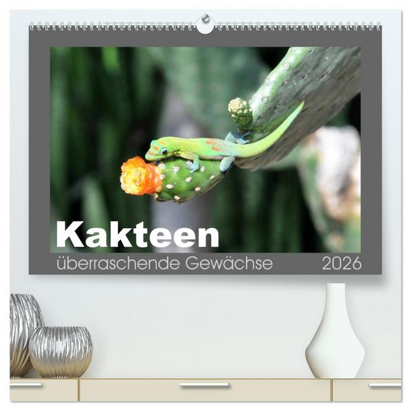 Produktbild: Kakteen - &uuml;berraschende Gew&auml;chse (hochwertiger Premium Wandkalender 2026 DIN A2 quer), Kunstdruck in Hochglanz