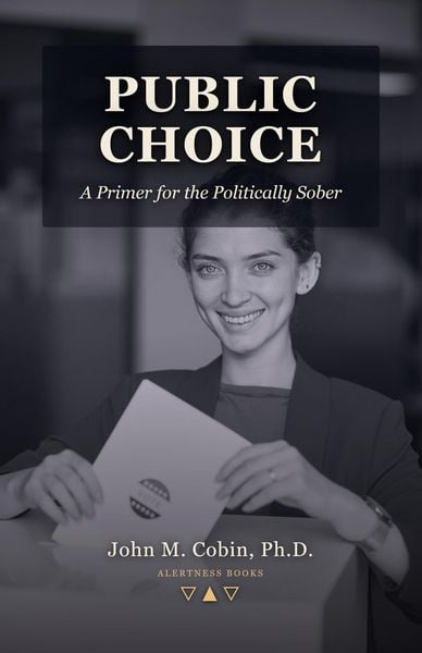 Produktbild: Public Choice: A Primer