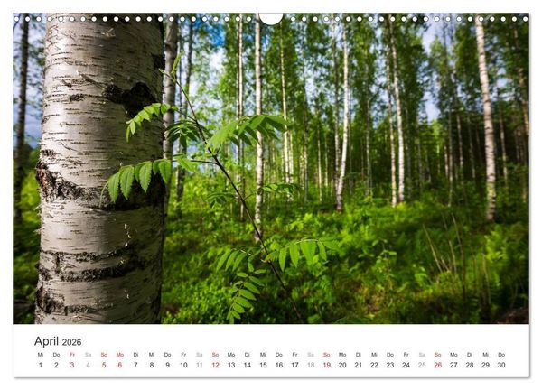Produktbild: Landschaften Finnlands (Wandkalender 2026 DIN A3 quer), CALVENDO Monatskalender