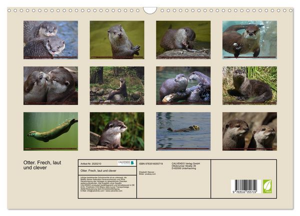 Produktbild: Otter. Frech, laut und clever (Wandkalender 2026 DIN A3 quer), CALVENDO Monatskalender