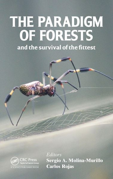 Produktbild: The Paradigm of Forests and the Survival of the Fittest