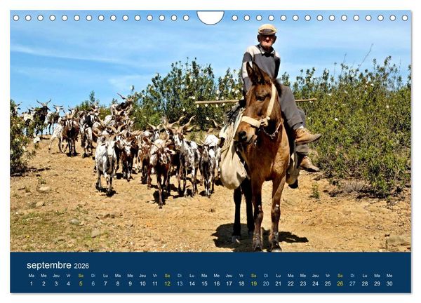 Produktbild: Un voyage &agrave; travers le Portugal (Calendrier mural 2026 DIN A4 vertical), CALVENDO calendrier mensuel