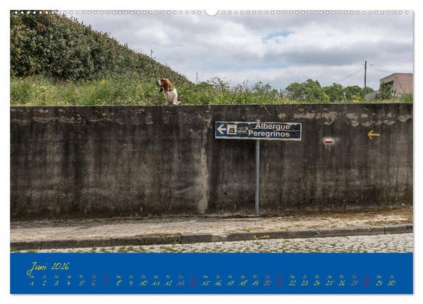 Produktbild: Camino 2026 (Wandkalender 2026 DIN A2 quer), CALVENDO Monatskalender