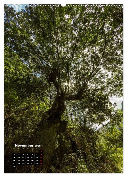 Produktbild: Levadas - Wasserwege auf Madeira (Wandkalender 2026 DIN A2 hoch), CALVENDO Monatskalender