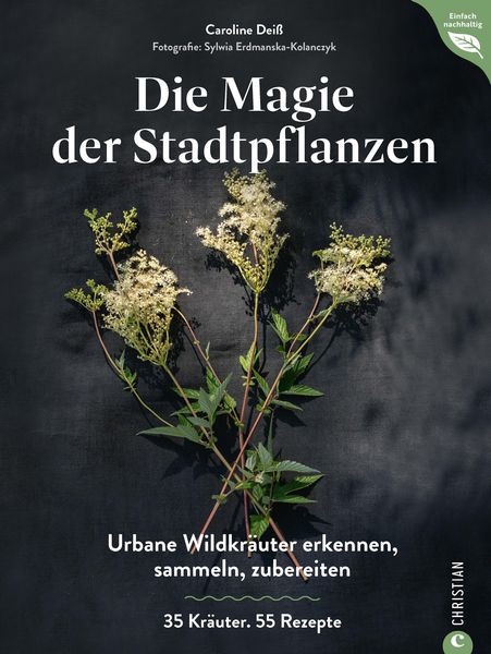 Produktbild: Magie der Stadtpflanzen