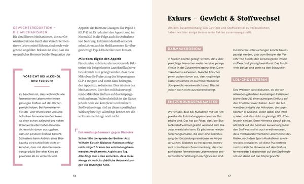 Produktbild: Fermentieren macht gesund