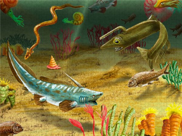 Produktbild: CALVENDO Puzzle Erdzeitalter Karbon, Leben im Meer | 1000 Teile Lege-Gr&ouml;&szlig;e 64x48cm Foto-Puzzle f&uuml;r gl&uuml;ckliche Stunden