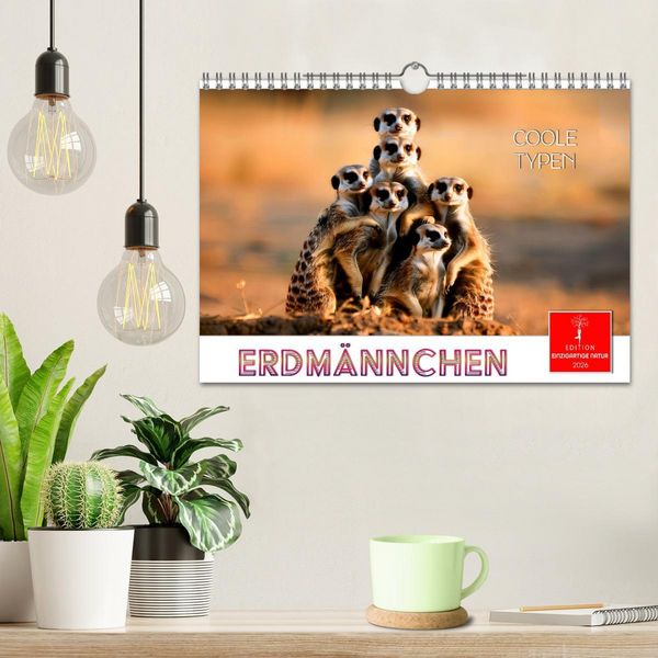 Produktbild: Erdm&auml;nnchen - coole Typen (Wandkalender 2026 DIN A4 quer), CALVENDO Monatskalender