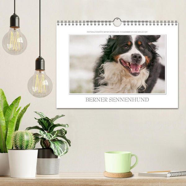 Produktbild: Emotionale Momente: Berner Sennenhund. (Wandkalender 2026 DIN A4 quer), CALVENDO Monatskalender