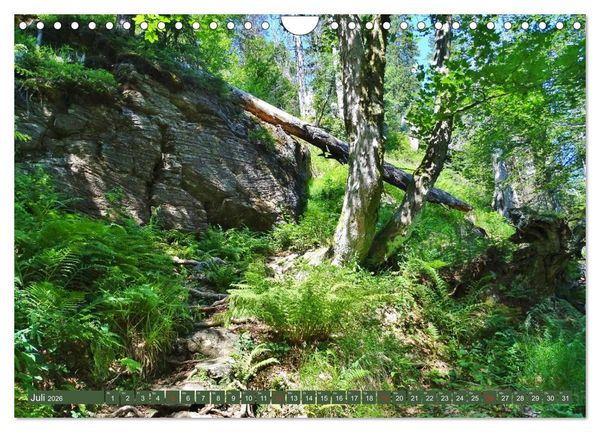 Produktbild: Wandererlebnisse im Bayrischen Wald (Wandkalender 2026 DIN A4 quer), CALVENDO Monatskalender