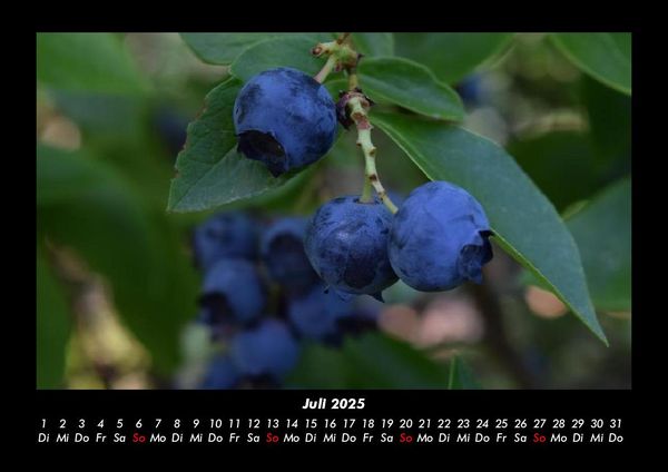 Produktbild: Obstkalender 2025 Fotokalender DIN A3