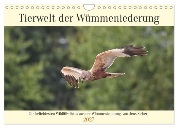 Produktbild: Tierwelt der W&uuml;mmeniederung (Wandkalender 2027 DIN A4 quer), CALVENDO Monatskalender