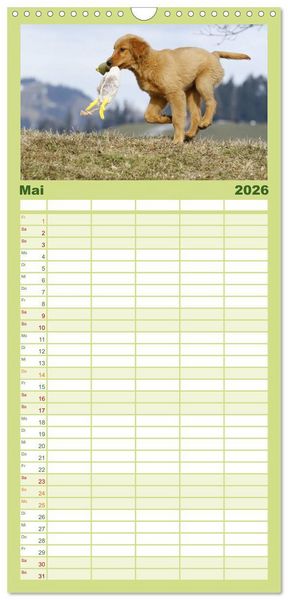 Produktbild: Familienplaner 2026 - Chesley Kleiner Hund grosse Abenteuer mit 5 Spalten (Wandkalender, 21 x 45 cm) CALVENDO