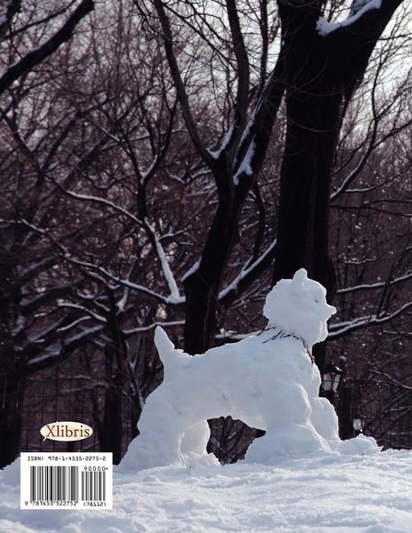 Produktbild: Big Apple In The Winter