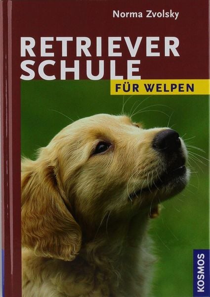 Produktbild: Retrieverschule f&uuml;r Welpen