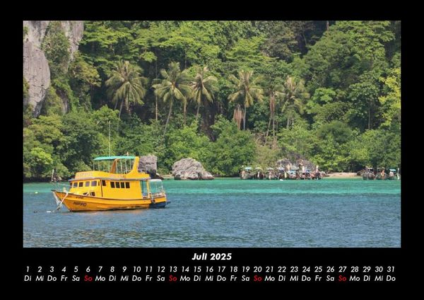 Produktbild: Palmen 2025 Fotokalender DIN A3