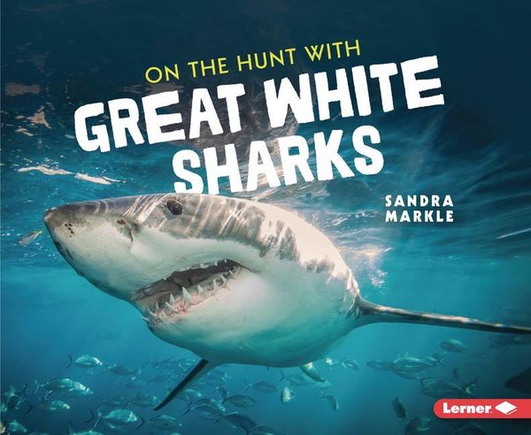 Produktbild: On the Hunt with Great White Sharks