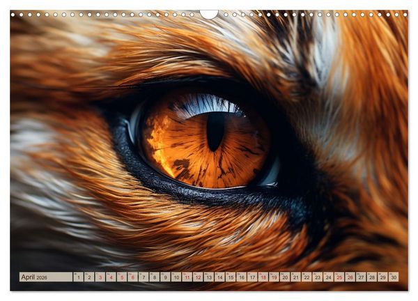 Produktbild: Schau mir ins Auge (Wandkalender 2026 DIN A3 quer), CALVENDO Monatskalender