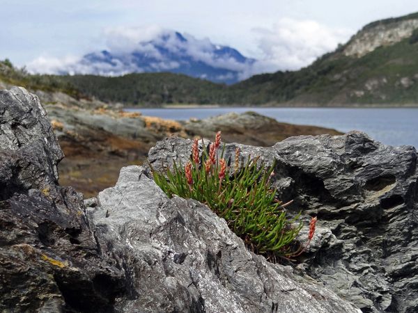 Produktbild: CALVENDO Puzzle Tierra del Fuego - Gro&szlig;e Feuerlandinsel/Argentinien 1000 Teile Lege-Gr&ouml;&szlig;e 64 x 48 cm Foto-Puzzle Bild von Flori0