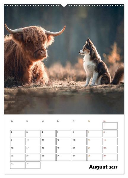 Produktbild: Ein Herz und eine Schnauze - Ein tierisch buntes Miteinander (hochwertiger Premium Wandkalender 2027 DIN A2 hoch), Kunstdruck in Hochglanz