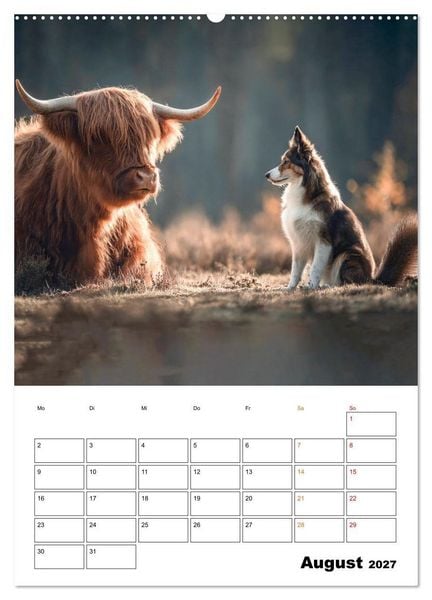 Produktbild: Ein Herz und eine Schnauze - Ein tierisch buntes Miteinander (Wandkalender 2027 DIN A2 hoch), CALVENDO Monatskalender