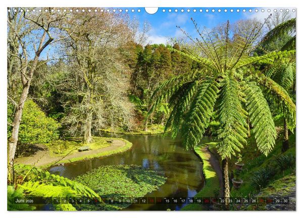 Produktbild: Terra Nostra Garten - ein botanisches Juwel auf den Azoren (Wandkalender 2026 DIN A3 quer), CALVENDO Monatskalender