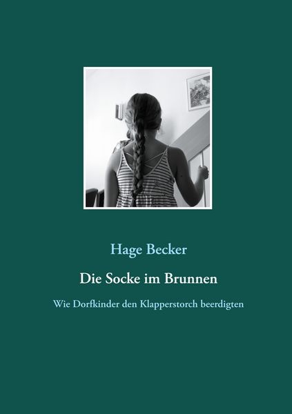 Produktbild: Die Socke im Brunnen